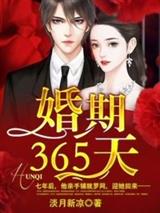 试婚365天:霍先生,违规了!